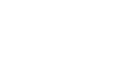 Pico Genie